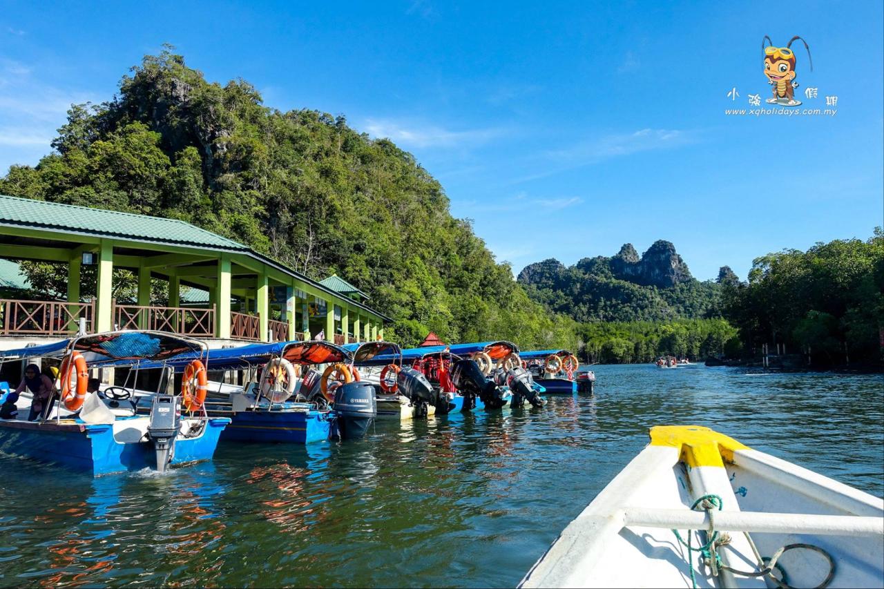 Jelajahi Hutan Mangrove Langkawi: Tur Ekosistem Pesisir yang Menakjubkan